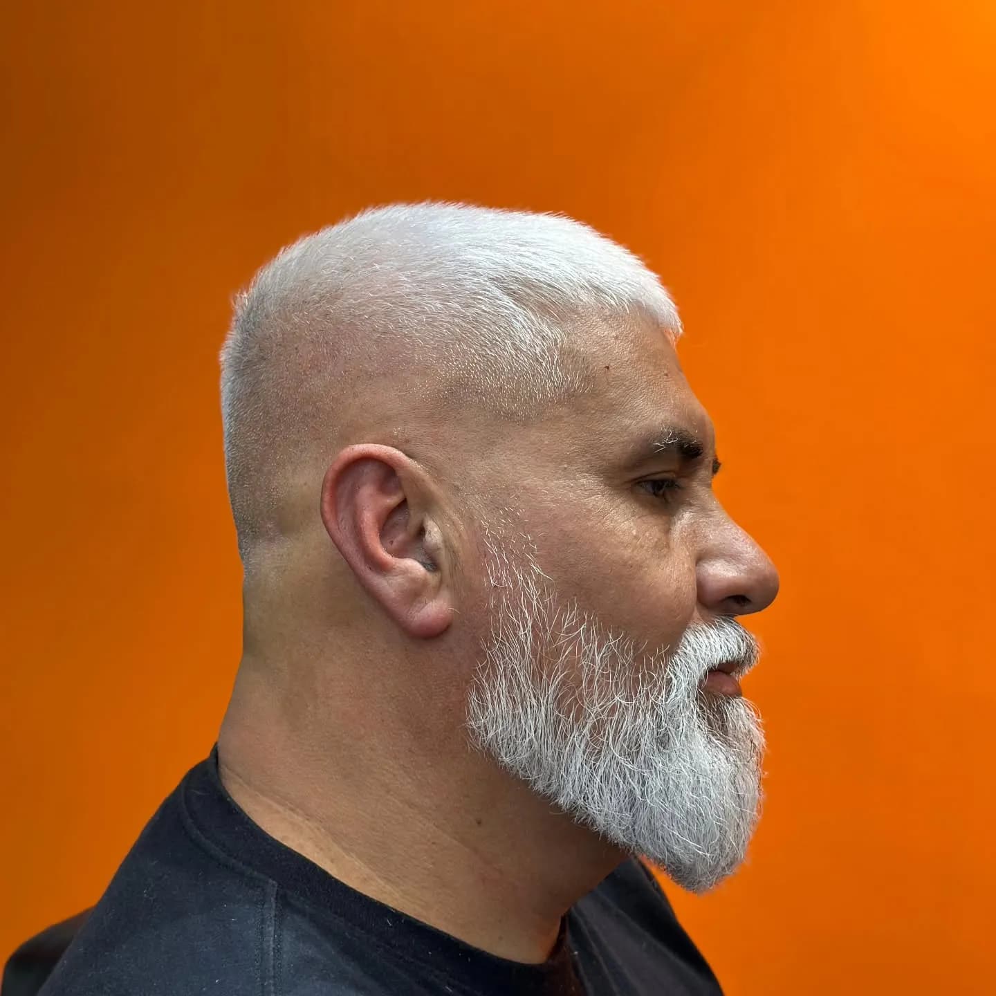 Barboterapia